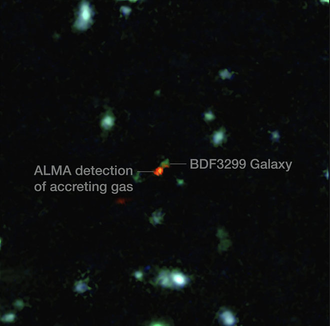 f31473bc.jpg